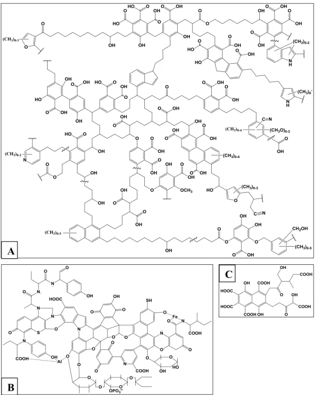 Figure 13. Structures de squelettes chimiques proposées pour les trois catégories de SH