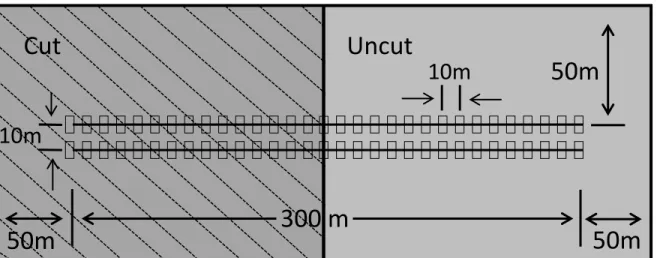 Figure 3: Schematic view of one site corresponding to a pair of transects crossing the two  habitats (cut and uncut stand) in boreal forest