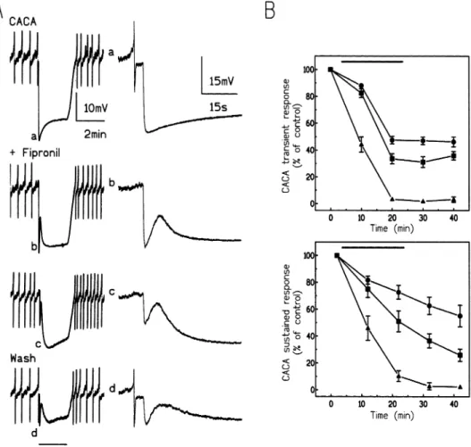 Fig. 4. Pharmacological effects of fipronil on the biphasic hyperpolarization induced by pressure application (2 min duration) of 10 ⫺2 moll ⫺1 CACA