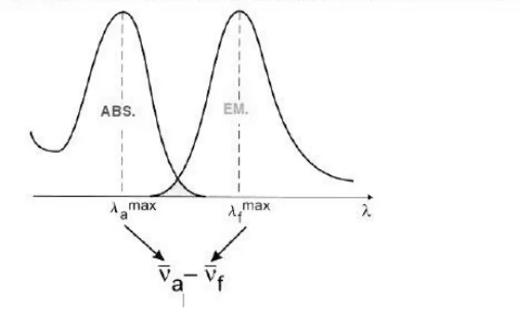 Figure II-6 Illustration de la définition du déplacement de Stokes  2.1.3  Rendement quantique de la fluorescence  