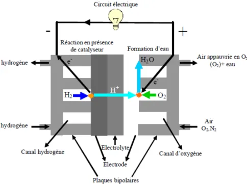 Figure III-7 Schéma de principe d’une pile PEFMC [51] 