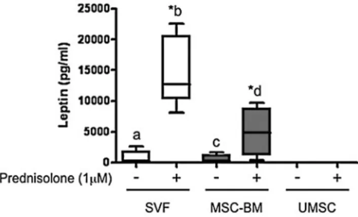 FIG. 2. SB 431542, an ALK-5 inhibitor, induces leptin expression and restores transforming growth factor b  (TGF-b )-inhibited leptin expression in BM-MSC