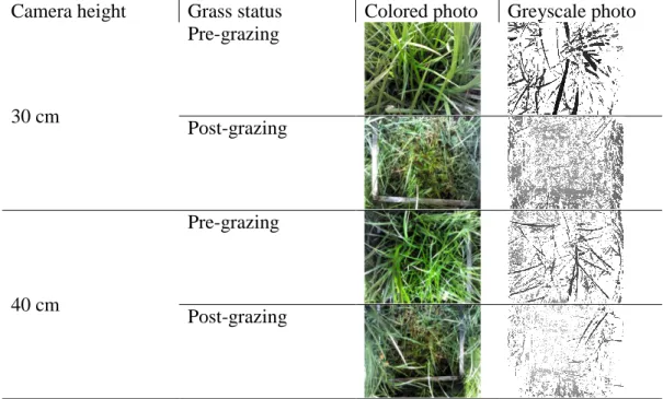 Table 1: Color and greyscale photos taken by the camera at 30, 40 and 50 cm of  heights  from  the  ground  and  for  pre-  and  post-grazing  grass  status  for  sample  n°1