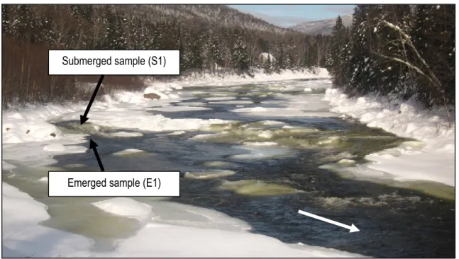 Figure  2.2.  Study  site,  Montmorency  River,  Quebec,  Canada.  The  channel  is  50  m-wide
