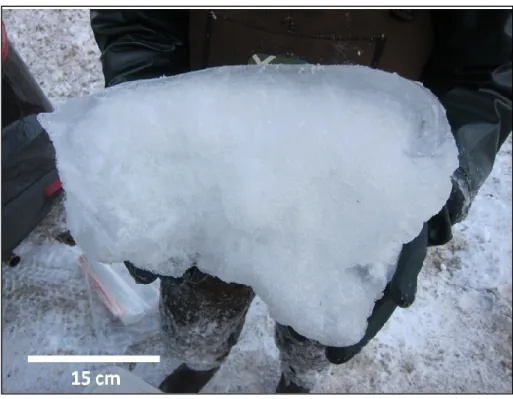 Figure 2.8. Ice dam sample E1 drained with layer of solid ice visible on the upper surface