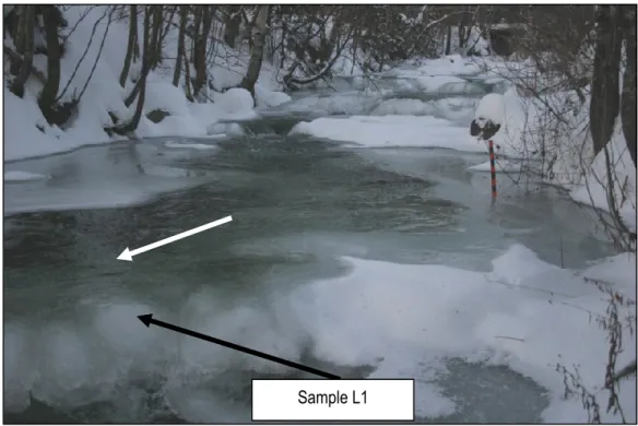 Figure 2.16. Flooded snow accumulation on the sampled ice dam’s crest (L1) on Dec. 20th 2012