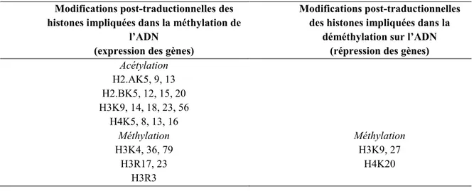 Tableau 1.2. Résumé des modifications d'histones qui activent ou désactivent la transcription de l’ADN  (H = histone; K = lysine; R = arginine)