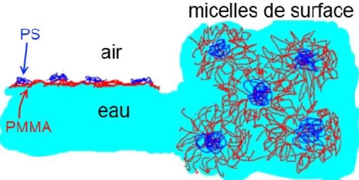Figure 3. Représentation schématique de micelles de surface de PS-b-PMMA à l’interface air-eau