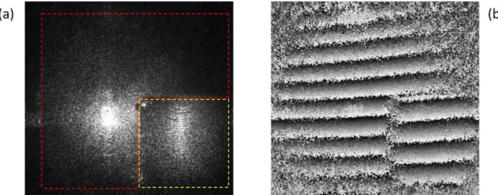 Fig. 2 shows the numerical reconstruction by phase-shifting DH in the in-line configuration