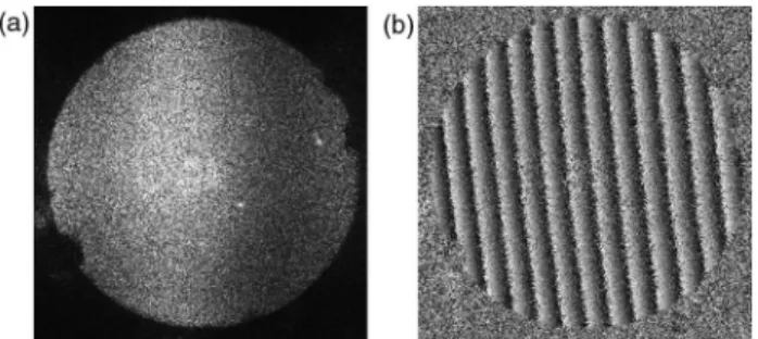 Fig. 12. Application of phase-shifting DH to the FIRST reflector with diffuse illumination