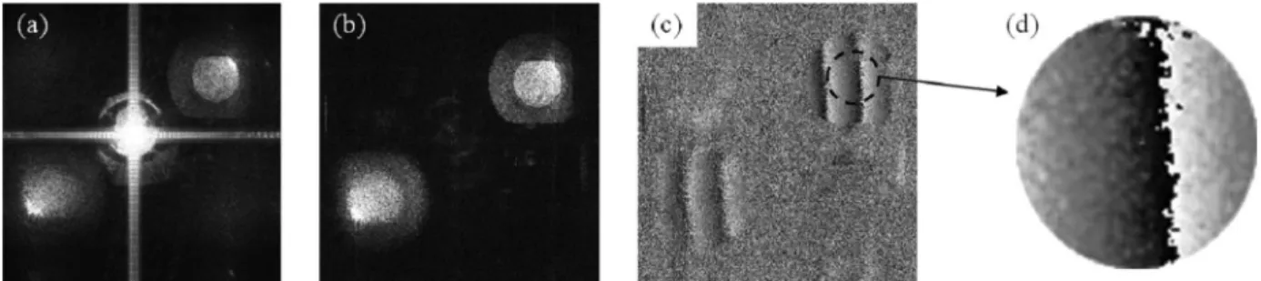 Fig. 7. Numerical reconstruction of a plane mirror by DH in the LWIR: (a) amplitude, (b) amplitude after filtering of DC term and HROT, (c) phase difference after rotation of mirror, (d) excerpt of phase difference on the mirror zone.
