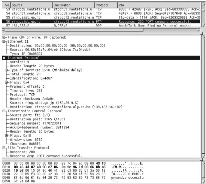 Figure 1.7. – Analyse du contenu d’un paquet IP.