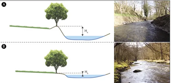 Figure 10 – Deux cas de ﬁgure de hauteur relative au pied de berge : H a  &gt; H b .