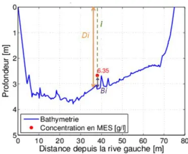 Figure 7 : Schéma d’un transect du Rhône  
