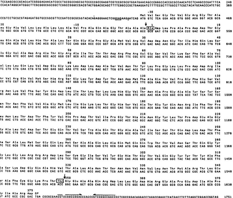 Fig. 5 .  Nucleotide sequence  of  the Streptomyces  R61  Do-peptidase precursor-encoding gene and amino acid sequence  of  the expressed and excreted  enzyme