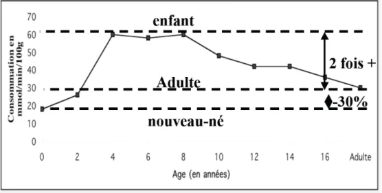 Figure 1.  Évolution du taux local de consommation cérébrale de glucose (d'après  Chugani, 1998, p.186)