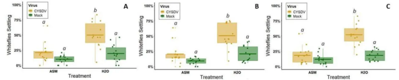 Figure 4. Results of alate aphid four-way choice tests between leaves from ASM+CMV, ASM only, CMV only, or non-infected control plants (n = 15 iterations of the assay)
