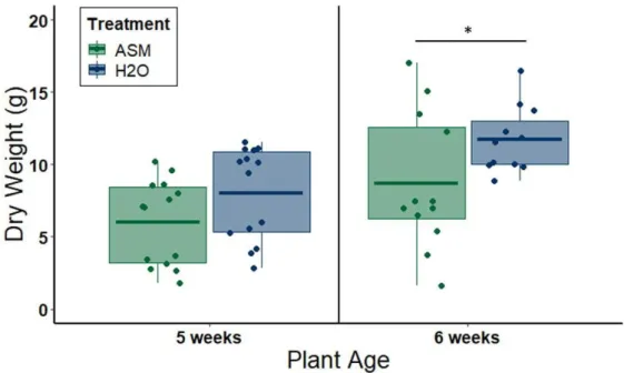 Figure  5. Results  of  whitefly four-way  choice  tests  between leaves from  ASM+CYSDV, ASM  only,  CYSDV  only,  or  non-infected  control  plants  (n  =  14  iterations  of  the  assay)
