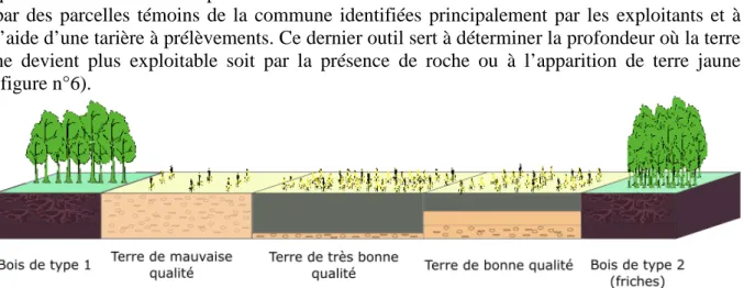 Figure n°6 : Exemple de différentes qualités de terre et de bois 