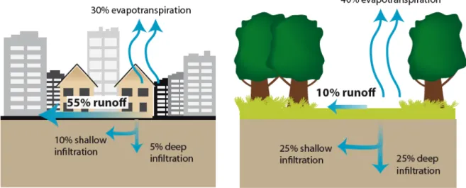 Figure 8 : Disponibilité de l'eau en milieu urbain et en milieu rural. 