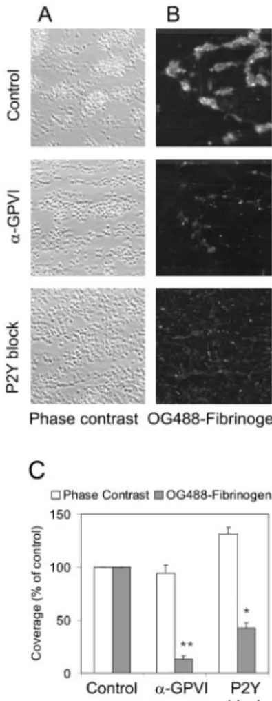 Figure 4. Effect of GPVI and P2Y receptor blockade on platelet–