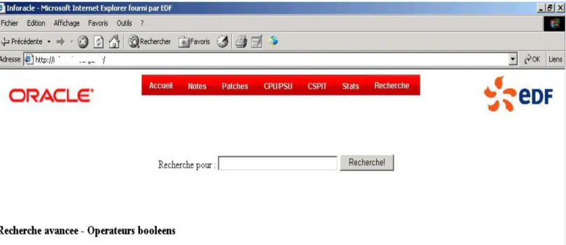 Figure 10 : capture d'écran de la page de recherche personnalisée avec aide sur les  opérateurs booléens