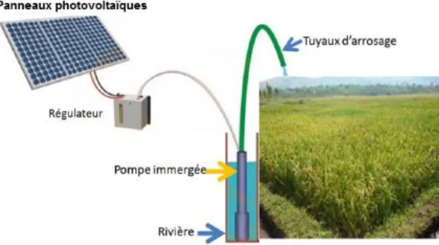 Fig. 5: Dimensionnement - irrigation autonome 