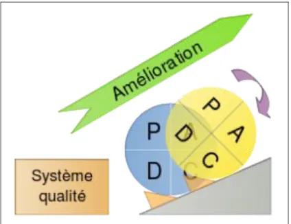 Figure 6 : Roue de Deming (http://fr.wikipedia.org/wiki/Roue_de_Deming) 