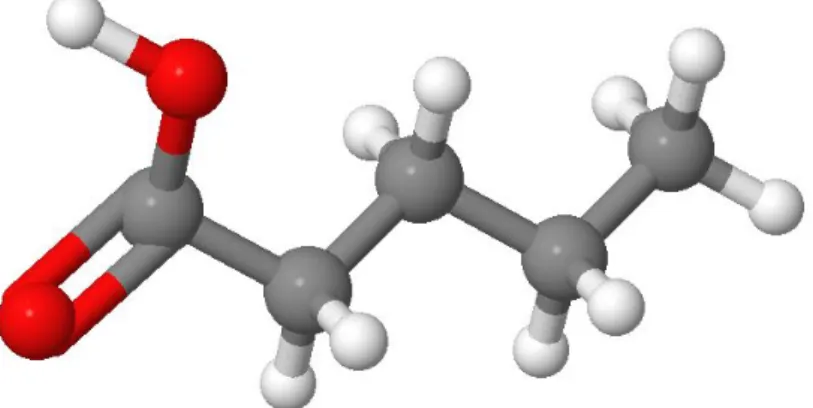 Figure 1.9  Molécule de l'acide héxanoïque (C 6 H 12 O 2 ) un acide carboxy- carboxy-lique.
