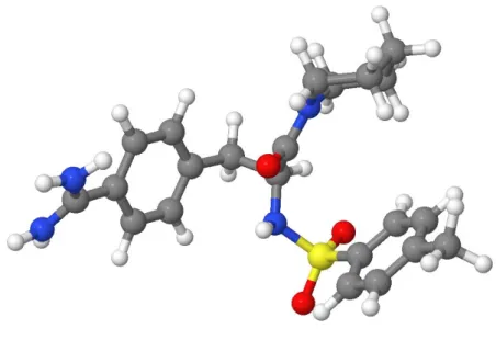 Figure 1.20  Structure de la molécule d'anticoagulant TAPAP (59 atomes).