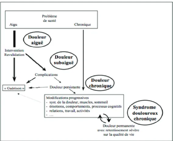 Figure 1 : Le processus de chronicisation (11) 