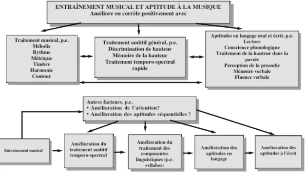 Figure 9 : Relations supposées entre entraînement musical, traitement auditif et aptitudes en langage  oral et écrit, d'après Overy, Tallal et Gaab (as cited in Habib &amp; Besson, 2008) 