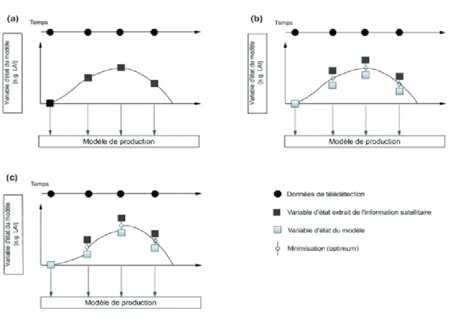 Figure 1.1: Description des différentes stratégies d’assimilation des données de télédétection  dans les modèles de production : (a) Forçage ; (b) Calibration ; (c) Réinitialisation (adapté de  Delécolle et al., 1992) 