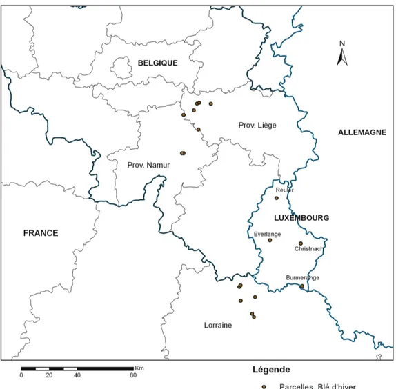 Figure 3.1 : Parcelles suivies en Belgique, au G.D. Luxembourg et en Lorraine française 