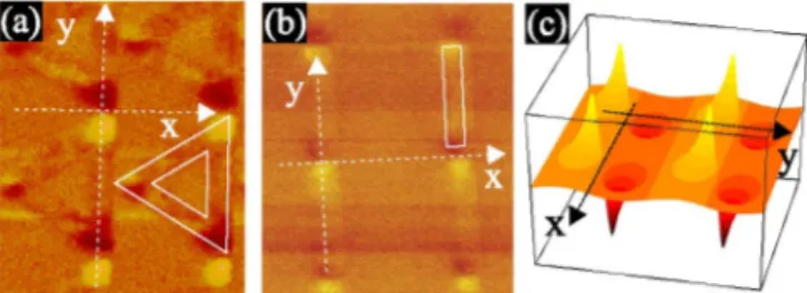 FIG. 1 (color online). MFM images of samples Tri-Pb (a) and Bar-Al (b) polarized in the y^ direction