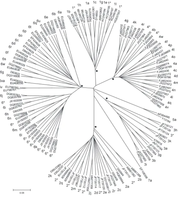 Figure 9 : Arbre phylogénétique des différents génotypes et sous-types du VHC   (Smith et coll., 2014) .