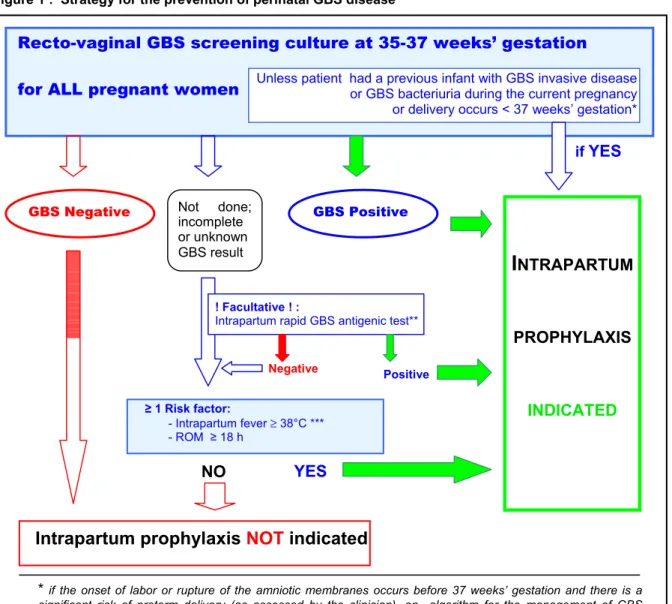 Figure 1 :  Strategy for the prevention of perinatal GBS disease  