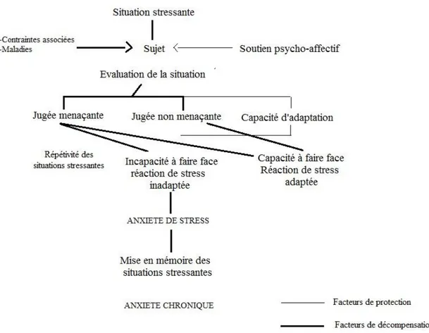Figure 4: Survenue d'une anxiété chez un sujet soumis à une situation stressante, Marc Schwob, 1999 