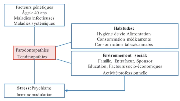 Figure  4: Facteurs  de risques  communs  aux  parodontopathies  et aux  tendinites  [14] 