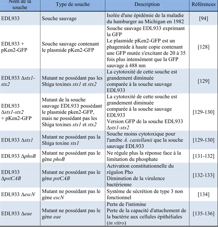 Tableau 2. Tableau descriptif des souches d'E. coli O157:H7 utilisées dans cette étude