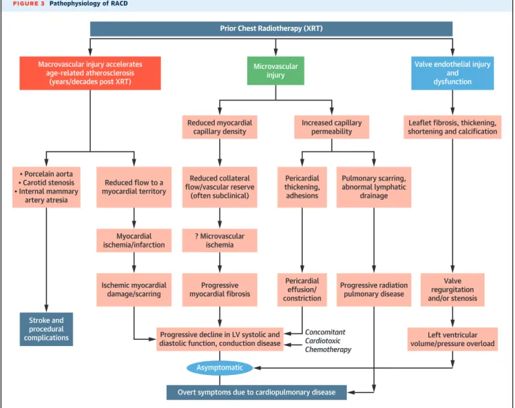 FIGURE 3 Pathophysiology of RACD