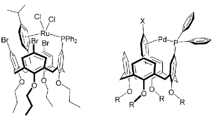 Figure 9. Cavitant fonctionnalisé d’un groupement organométallique pour des  applications en catalyse homogène