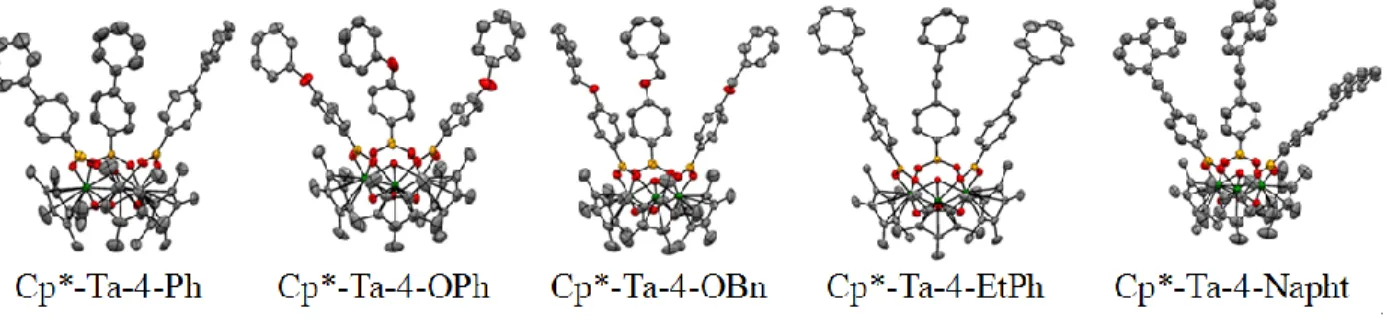 Figure 16.  Métallocavitants de tantale à cavité élargie.  