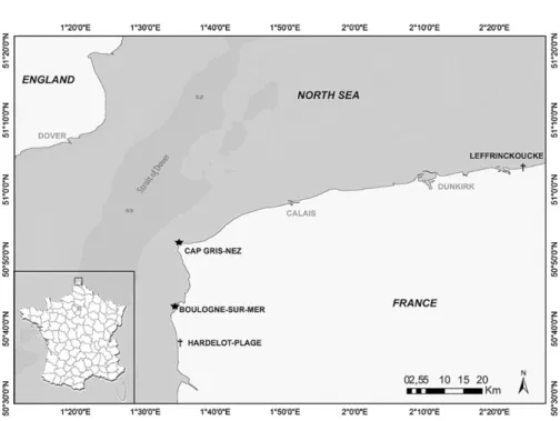 Fig. 1) during seabird and marine mammal land-based surveys. An adult gray seal (presumed male based on relative body size and head morphology; Jefferson et al.