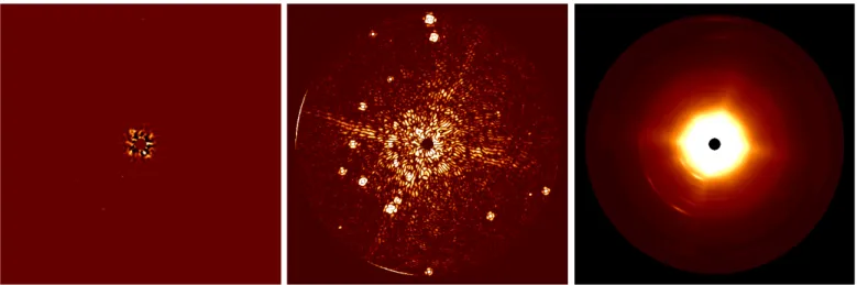 Fig. 7. Output obtained by processing the TYC-8979-1683-1 NaCo data (including both real and injected synthetic companions) with ANDROMEDA