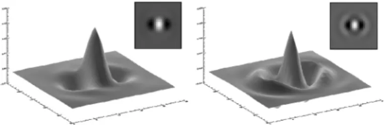 Fig. 3. Illustration of the pattern (autocorrelation of the planet signa- signa-ture, Fig