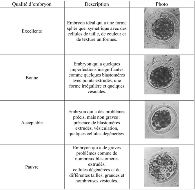 Tableau 4. Critères de classification de la qualité des embryons chez le bovin (Adapté de  Linder et Wirght, 1983)