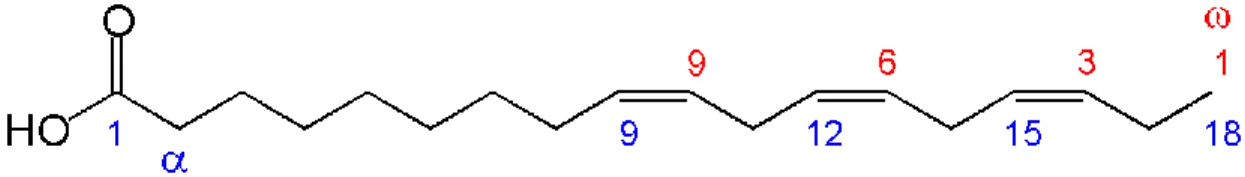Figure 3. Schéma de la nomenclature des acides gras (ex : l'acide a-linolénique). 