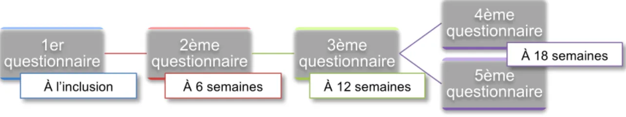 Figure 2 : Chronologie des questionnaires  