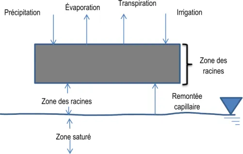 Figure 1. Application d'HYDRUS-1D dans le domaine d'agriculture 